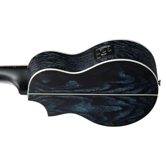 Ibanez EWP16EWB GAO