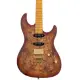 Sire Larry Carlton S10 HSS NB