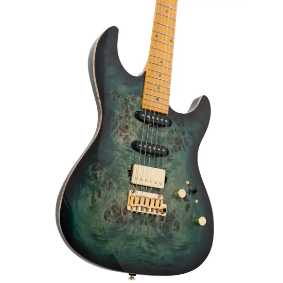 Sire Larry Carlton S10 HSS TGR