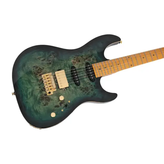 Sire Larry Carlton S10 HSS TGR