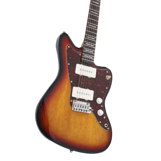 Sire Larry Carlton J3 3TS