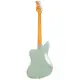 Sire Larry Carlton J5 SGM