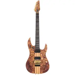 Sire Larry Carlton X10 NT S