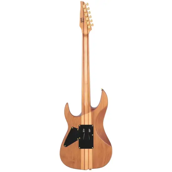 Sire Larry Carlton X10 NT S
