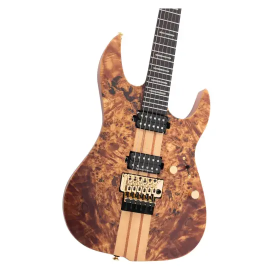 Sire Larry Carlton X10 NT S