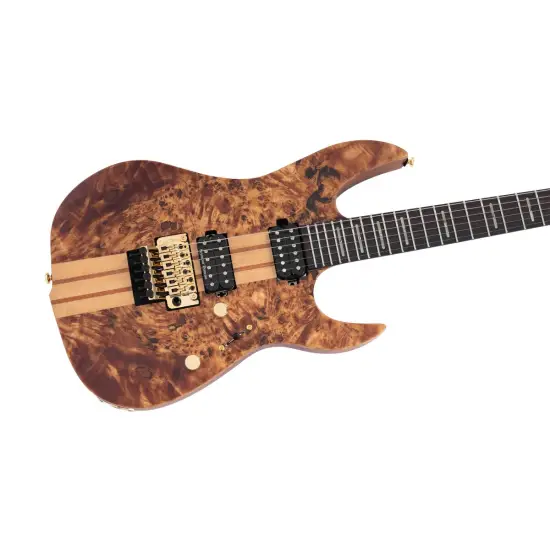 Sire Larry Carlton X10 NT S