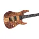 Sire Larry Carlton X10 NT S