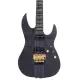 Sire Larry Carlton X10 T BLK S