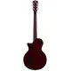 Sire Larry Carlton L3 HH GT