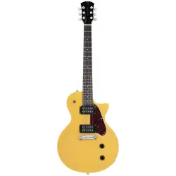 Sire Larry Carlton L3 HH TVY
