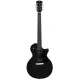 Sire Larry Carlton L3 HH BLK S