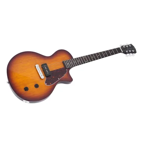 Sire Larry Carlton L3 P90 TS