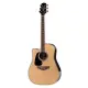 Takamine LH GD51CE NAT