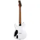 ESP LTD TH 1000 SW
