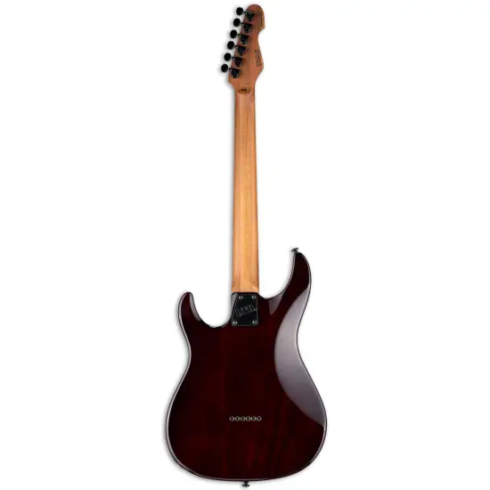 ESP LTD SN 1000 HT DBSB