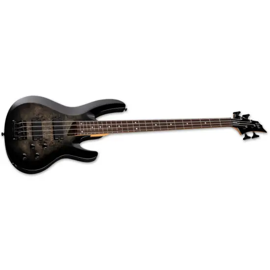 ESP LTD B 204DX BB