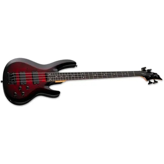 ESP LTD B 204DX RB
