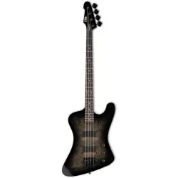 ESP LTD Phoenix 204DX
