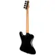 ESP LTD Phoenix 204DX