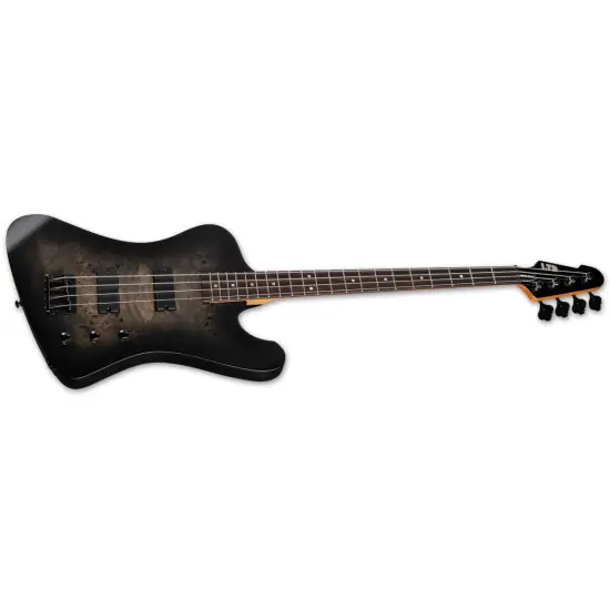 ESP LTD Phoenix 204DX
