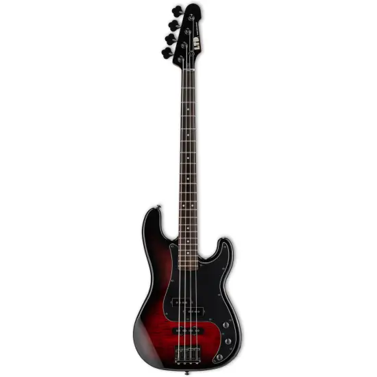 ESP LTD Surveyor 204DX RB