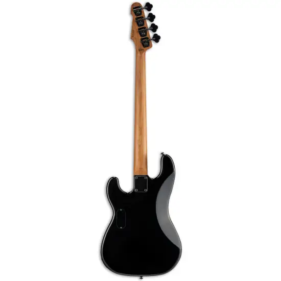 ESP LTD Surveyor 204DX RB