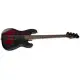 ESP LTD Surveyor 204DX RB