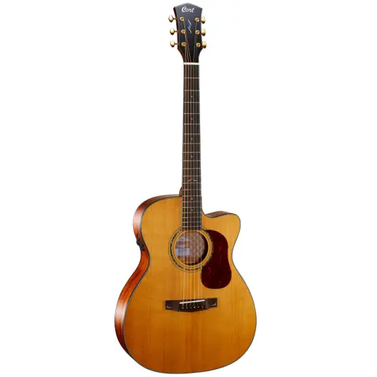 Cort GOLD OC6 W CASE