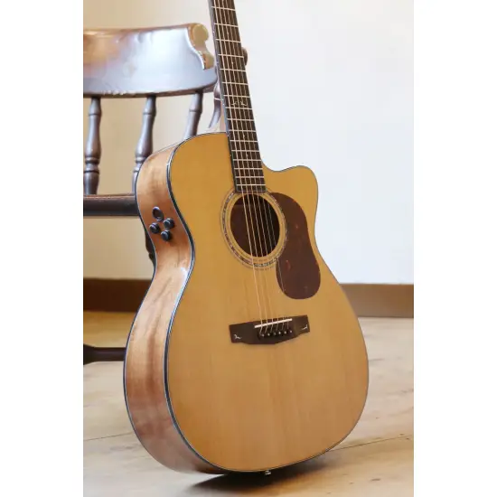 Cort GOLD OC6 W CASE