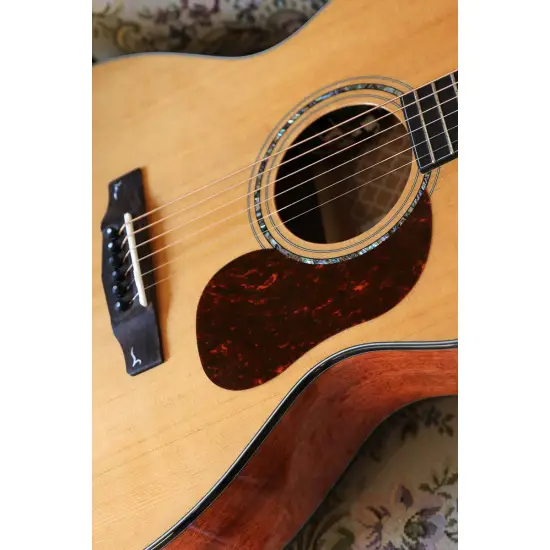 Cort GOLD OC6 W CASE