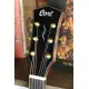 Cort GOLD OC6 W CASE