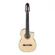 Ibanez GA3007CE Natural High Gloss