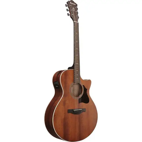 Ibanez AE140 OPN