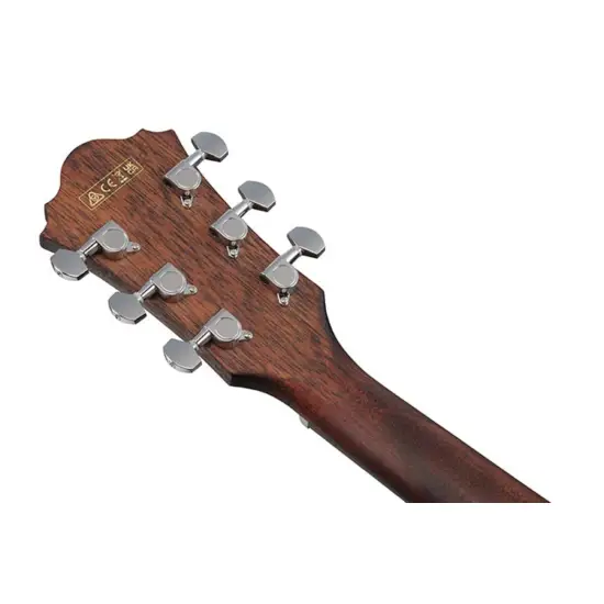 Ibanez AE140 OPN