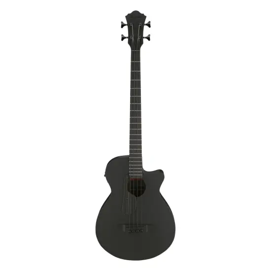 Ibanez AEGB420 BOT