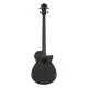 Ibanez AEGB420 BOT