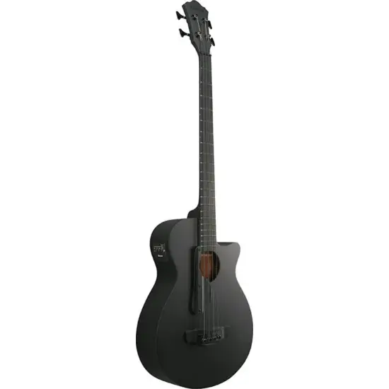 Ibanez AEGB420 BOT