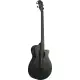 Ibanez AEGB420 BOT