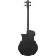 Ibanez AEGB420 BOT