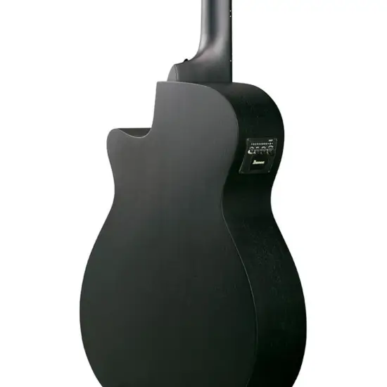 Ibanez AEGB420 BOT