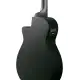 Ibanez AEGB420 BOT