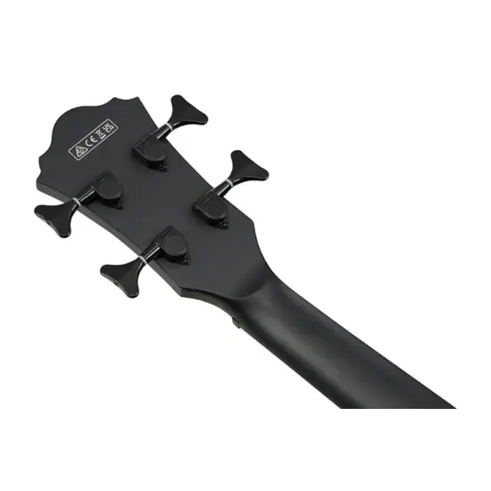 Ibanez AEGB420 BOT