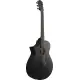 Ibanez AEWC621L BOT