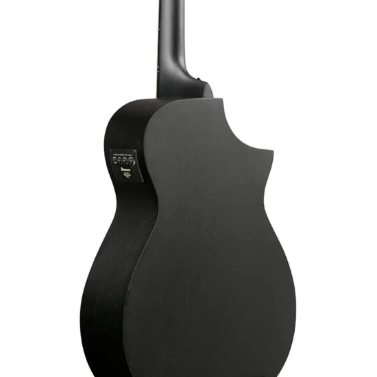 Ibanez AEWC621L BOT