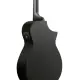 Ibanez AEWC621L BOT