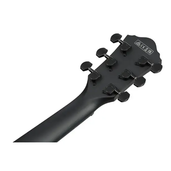 Ibanez AEWC621L BOT