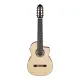 Ibanez GA3008CE Natural High Gloss