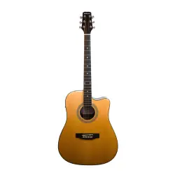 Beckman Guitars BKM/DCE-RSW