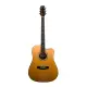 Beckman Guitars BKM/DCE-RSW