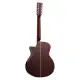 Tanglewood Winterleaf TW612CEAVB Autumn Vintage Gloss